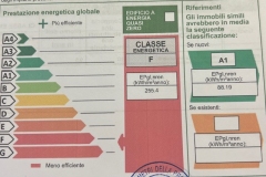 APE-per-locandina